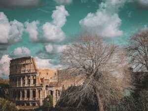 colosseum museum guided tour